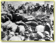 Archive photograph showing animals after ritual sacrifice at the Chandrabadni temple, before the practice was ended